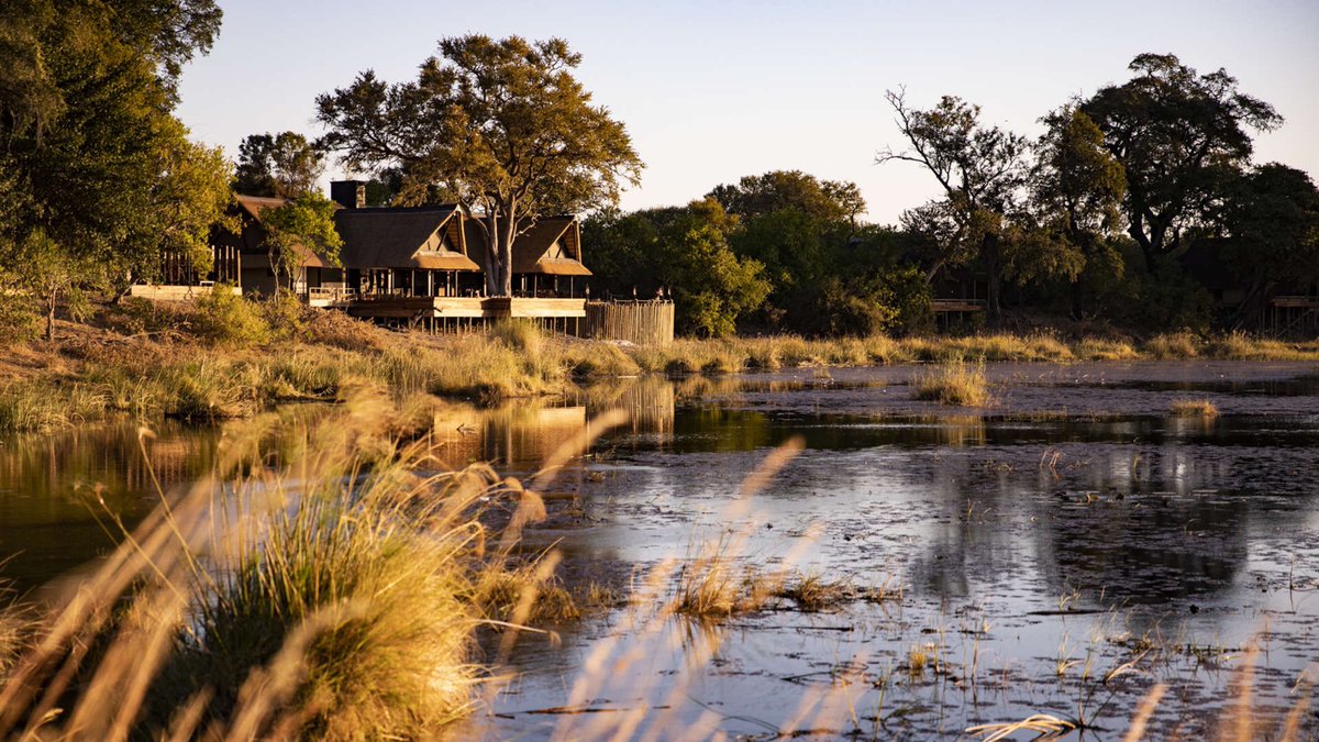 WeAreWilderness's tweet photo. News just in… #WildernesSafaris King’s Pool Camp has been shortlisted in the Lodges, Cabins &amp; Tented Camps category for #AHEADMEA 2020 Awards. 
Read more about #KingsPool:  https://t.co/ovlgzjGdjX 
To view the shortlist visit: https://t.co/Ua6iIVS402 #goodtimesahead #Botswana https://t.co/VkEgPNThHL
