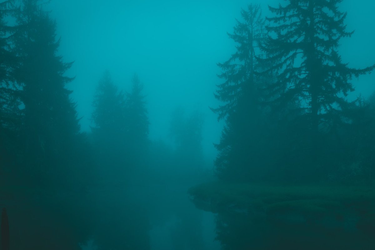 briscoepark's tweet image. Sounds and color fill my head