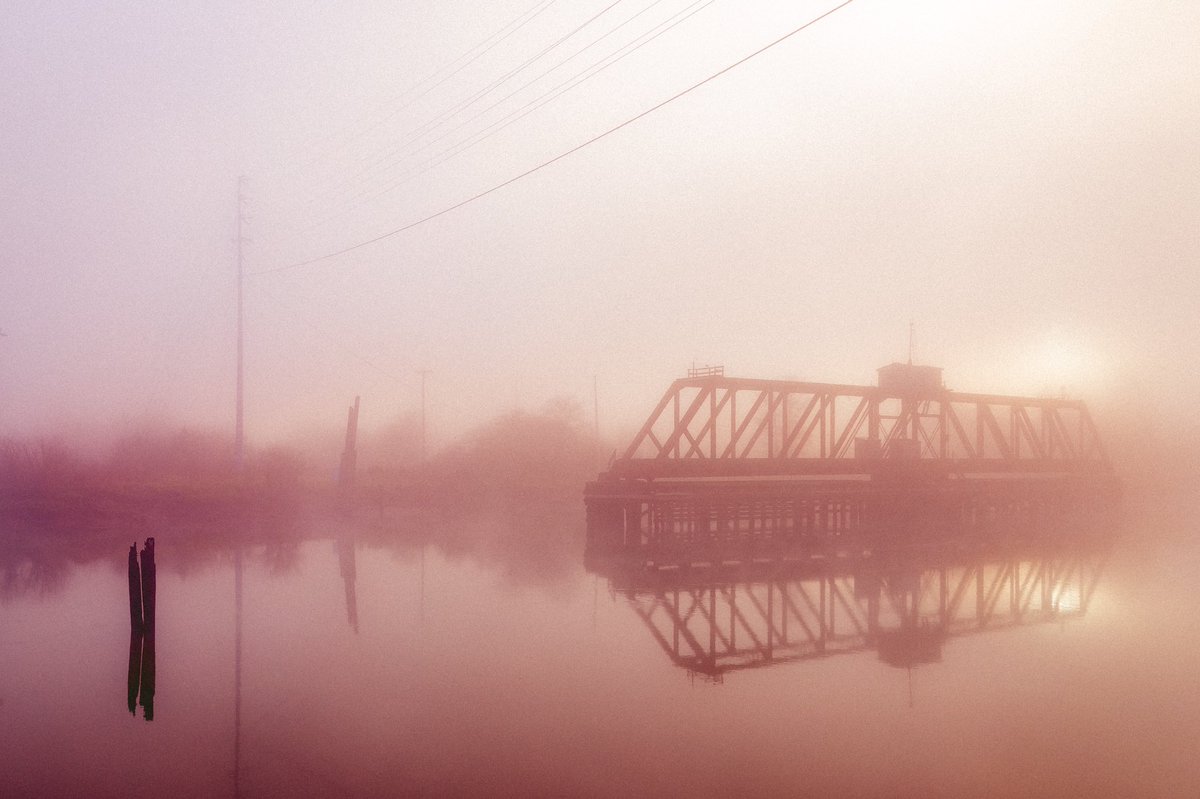 briscoepark's tweet image. Sounds and color fill my head