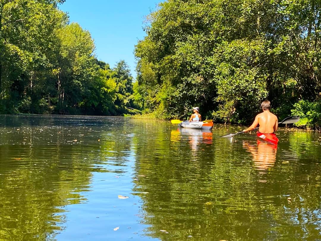AndBastosCoelho's tweet photo. Aventura de Espinhel a Requeixo por água.
#FPCanoagem
#MAISCanoagem
#MAIScanoagemDeLAZER https://t.co/EMUWYSL5Fd