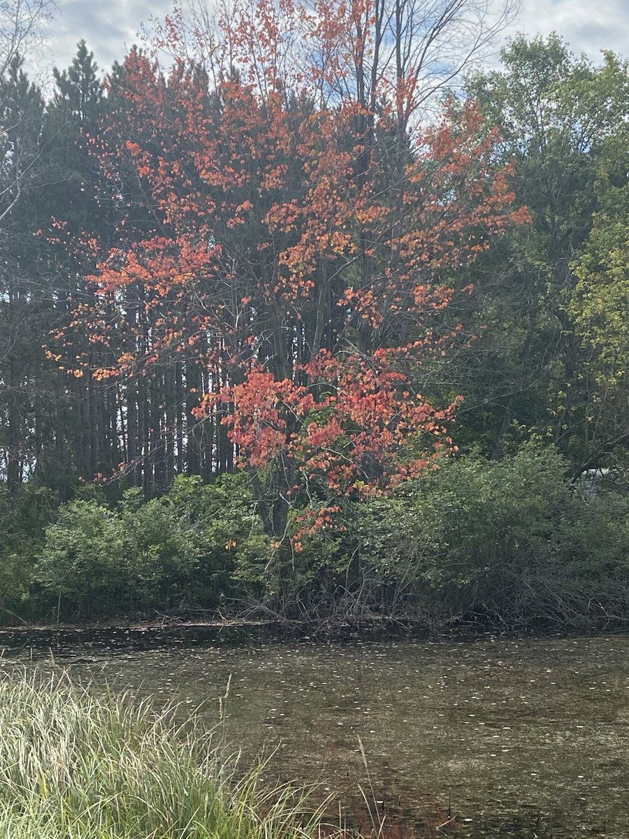 Karmel90409's tweet photo. ⁦@Mark_Baden⁩ https://t.co/nKtYUB2oUe