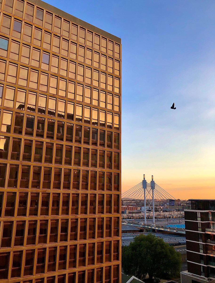 PinkettMakhokha's tweet photo. captured this expensive looking, golden building today😍. The reflection of the building opposite to it does it for me. Jhb is beautiful.
@CityofJoburgZA @JohannesburgIYP https://t.co/rRxr8rBn8n