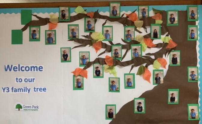 Mr Groves Y4 tweet media