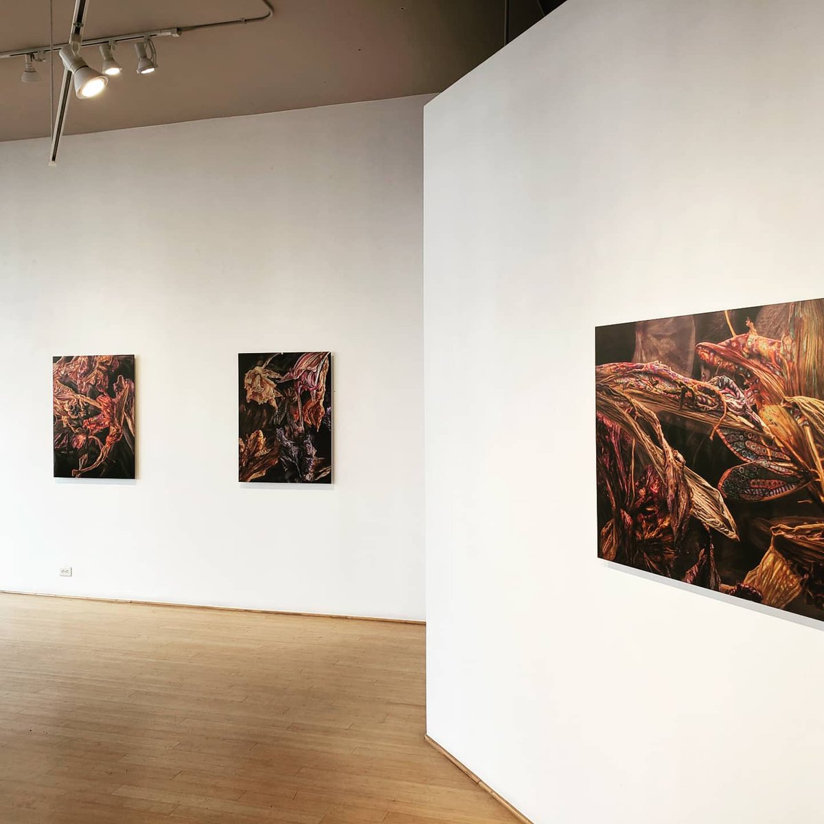 Art Dist on Santa Fe tweet media