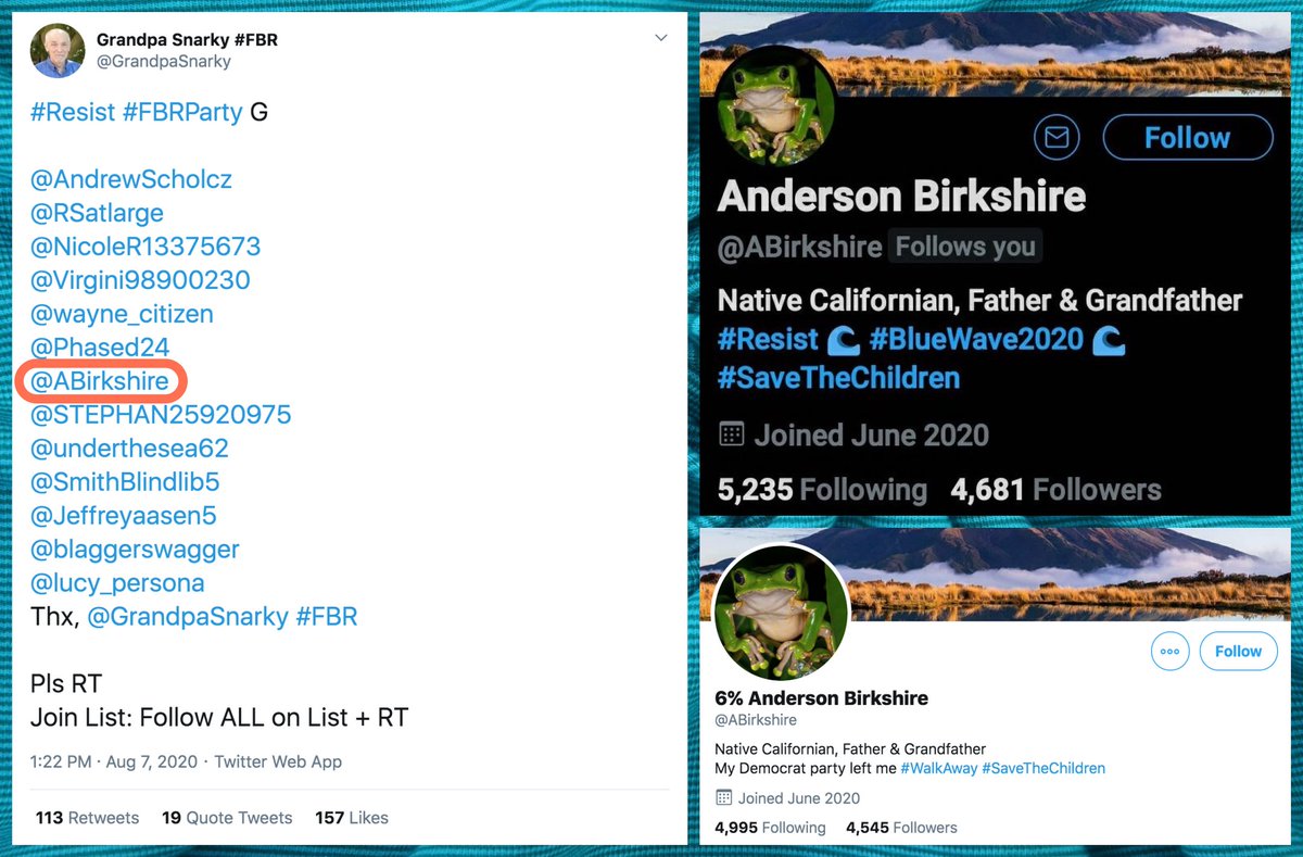 First up:  @ABirkshire, which transformed from  #BlueWave2020 Democrat to enthusiastic Trump supporter in under two months, and is now being promoted on  #MAGA trains. In that same time, it also went from knowing nothing about  #QAnon to being a devotee/self-styled expert.