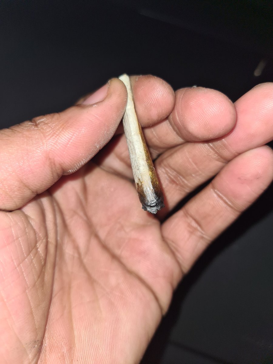 e_actn's tweet photo. Let's smoke And Have Fun #mondaythoughts https://t.co/qAKF315rK0