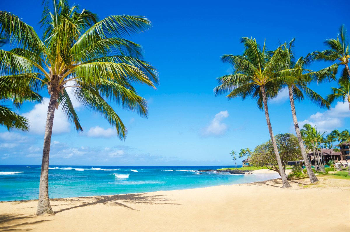Happy Labor Day! 🌊 ☀️  We hope you have a fun and safe day with 'ohana. 🇺🇸