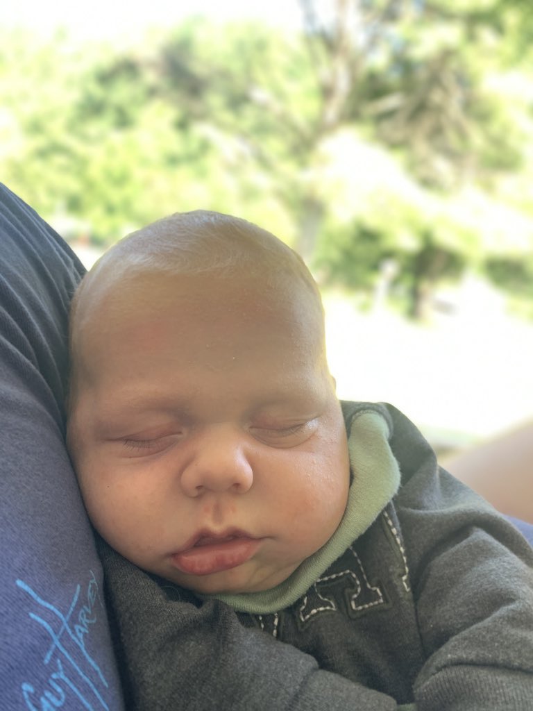 JakeCrawford3's tweet photo. Porch swing got em. https://t.co/gP9f9ySjSu