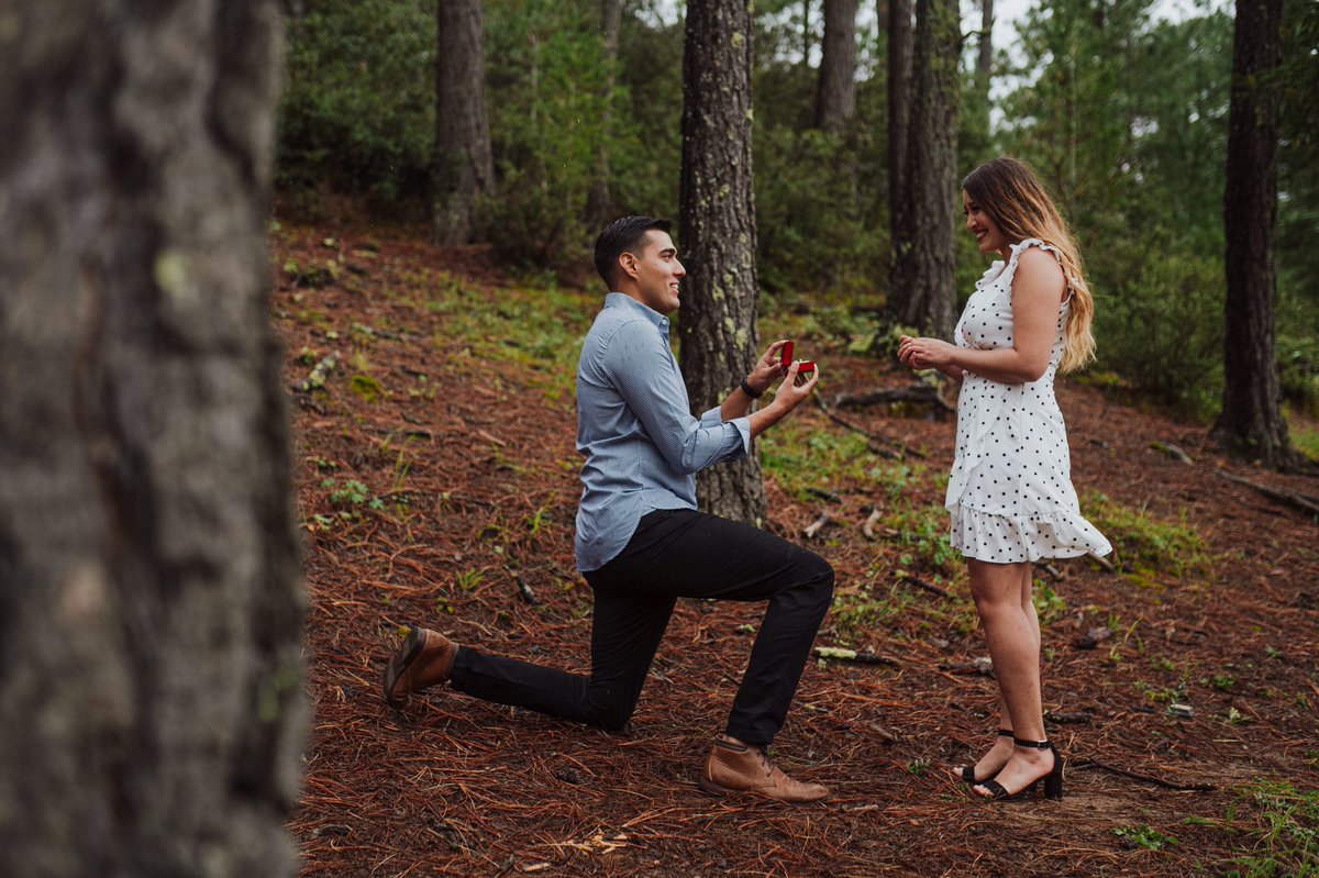 LilyGarcia_13's tweet photo. He kept his promise 💍 https://t.co/vhddaxgGp7
