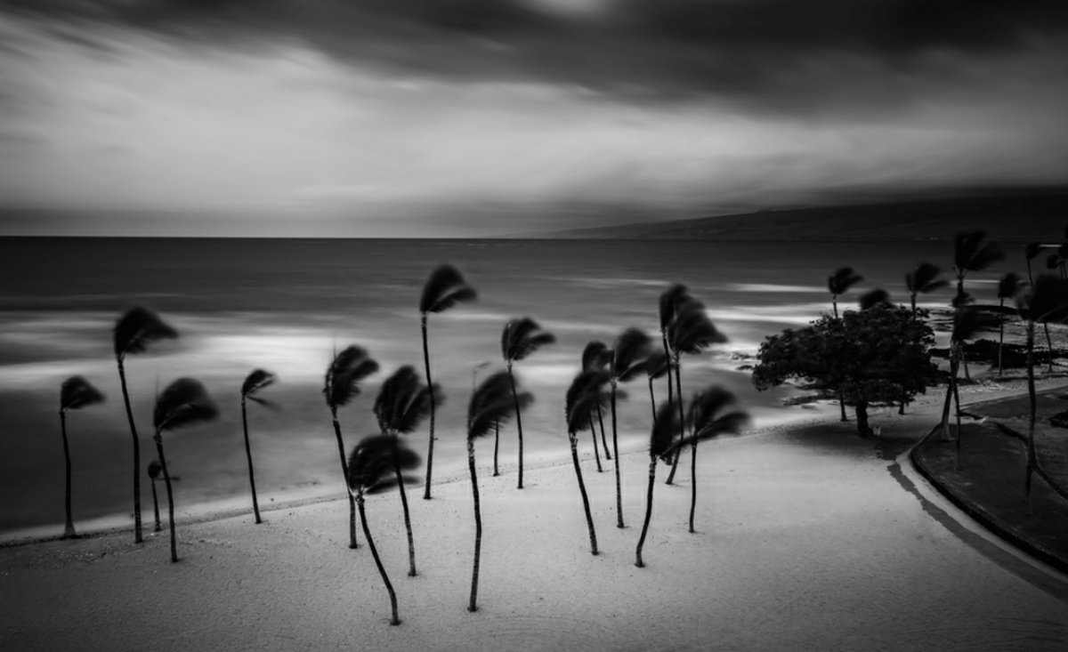 Tropical Storm by Rob Darby #blackandwhitephotography