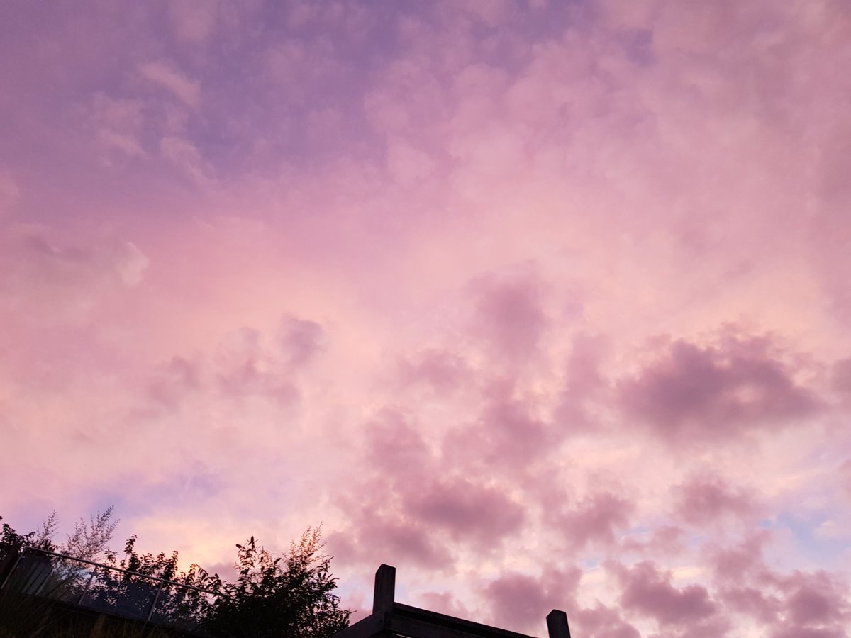 Br0wnEyedGirl__'s tweet photo. What a beautiful pink sky right now 💗🙏💫💗😍
#Devonskies #pinkclouds https://t.co/mQdEatSdx5