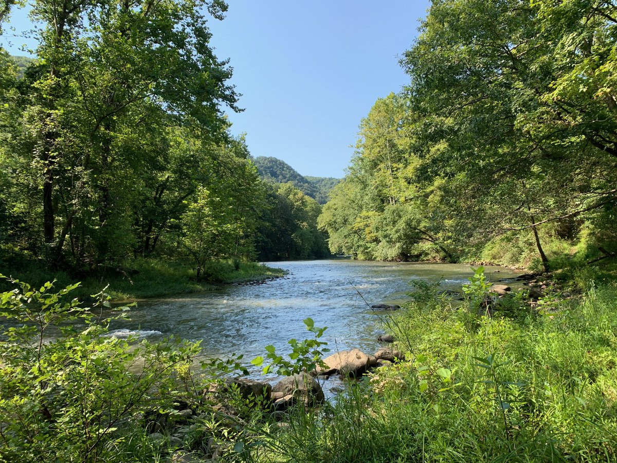 merrittmarybeth's tweet photo. #hiking #gotowv #exploresummerscounty #summerscountywv #WestVirginia #bluestoneturnpike #bluestone #bluestoneriver https://t.co/geDkdEZNcL
