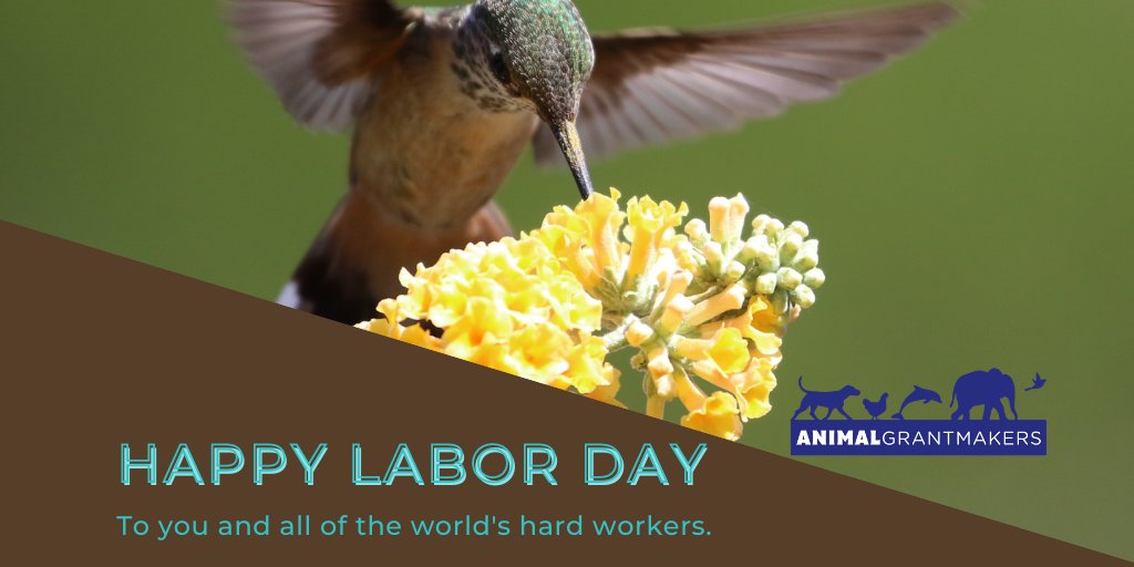 Animal Grantmakers (AGanimalfunders) Twitter