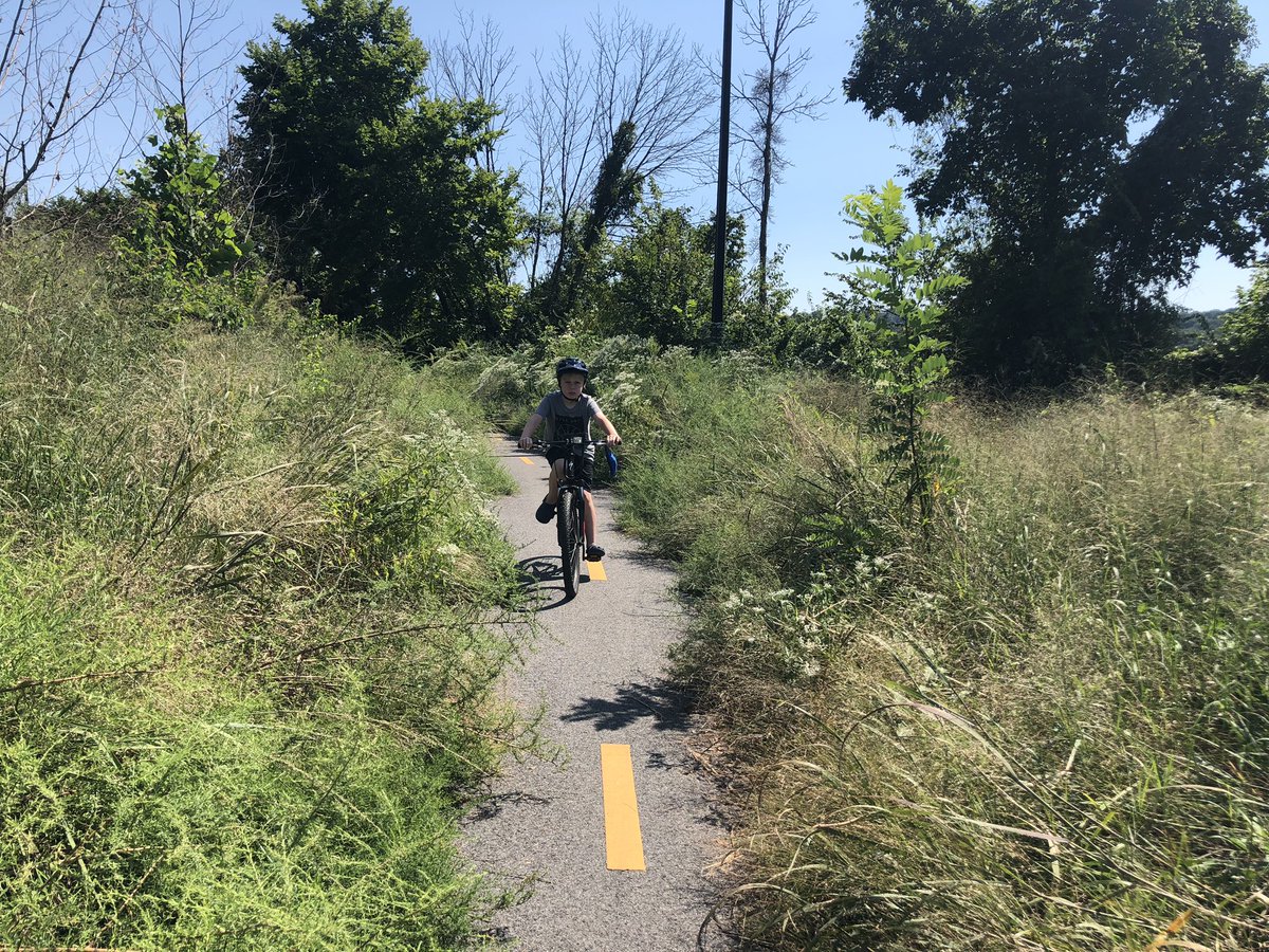DavidAnspacher's tweet photo. @DDOTDC the Anacostia Trail needs trimming between East Capitol and 11th St. @WABADC https://t.co/iIL7Hu6YgJ