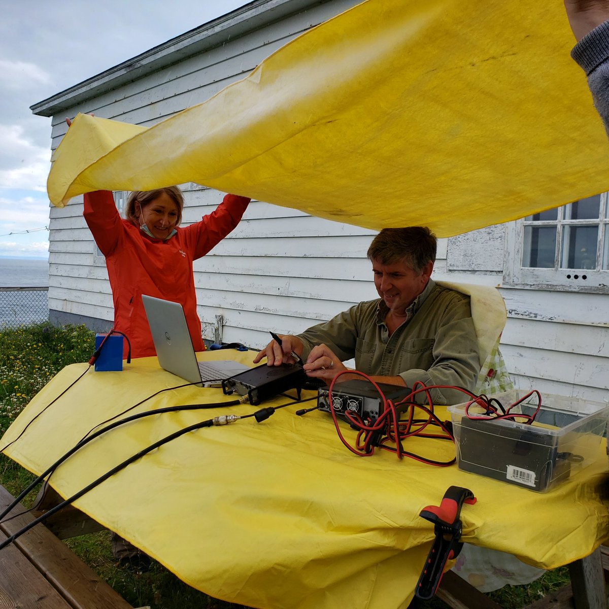 Labrador Straits HDC tweet media
