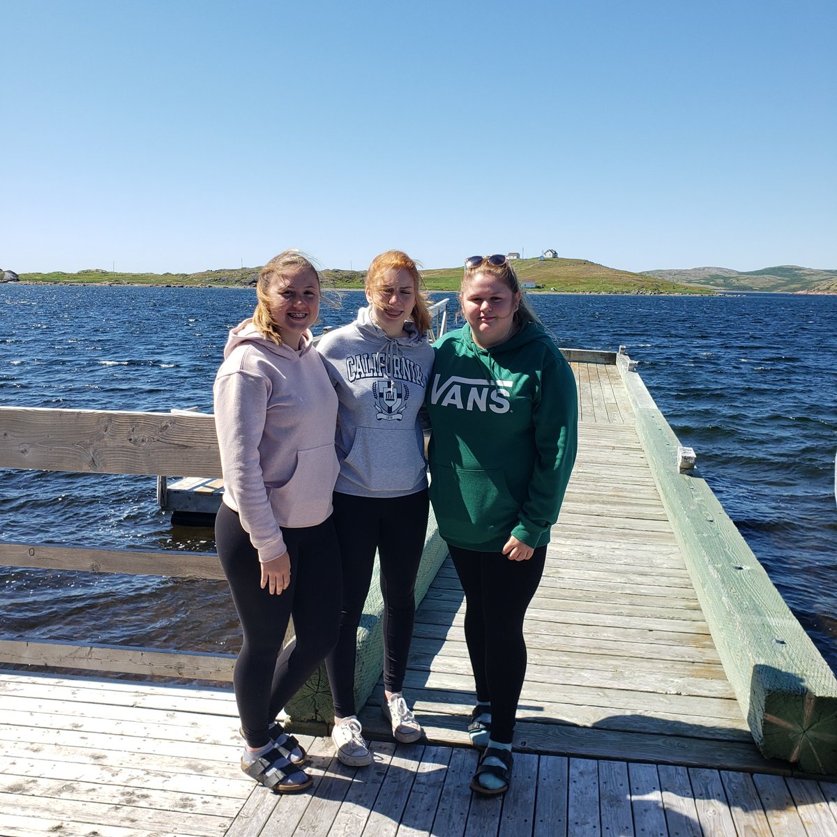 Labrador Straits HDC tweet media