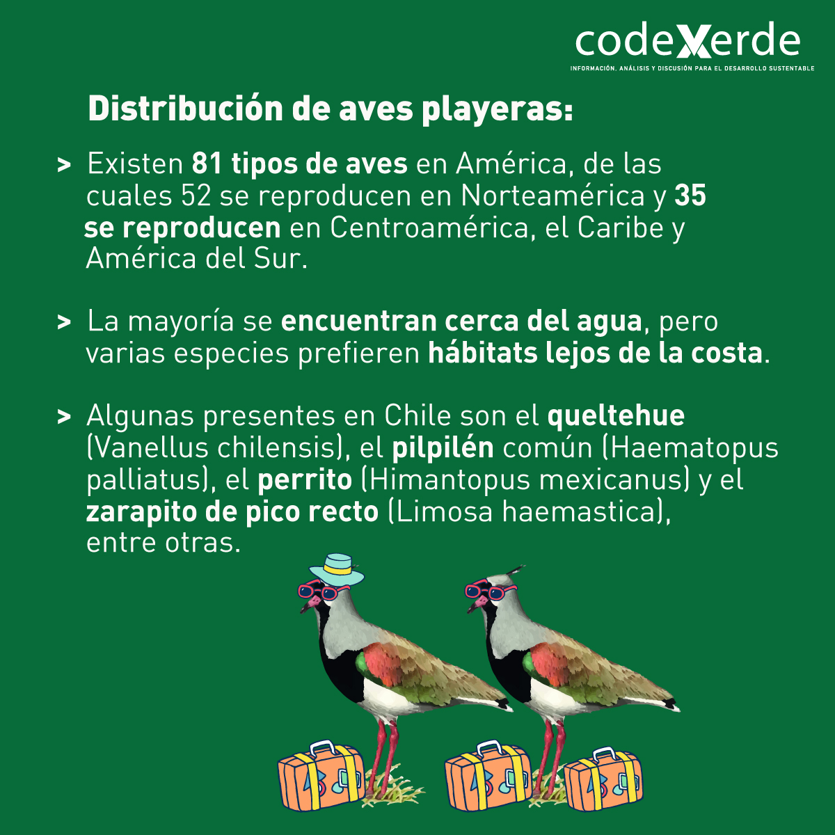 🤓Fuente: <a href="/MMAChile/">Ministerio del Medio Ambiente</a> y <a href="/WHSRN/">WHSRN</a>