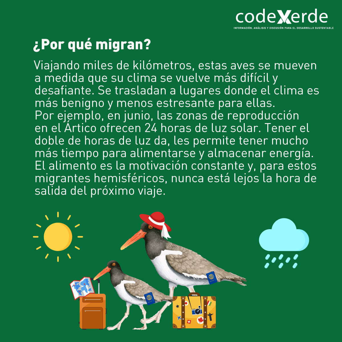 Codexverde (@codexverde) on Twitter photo 