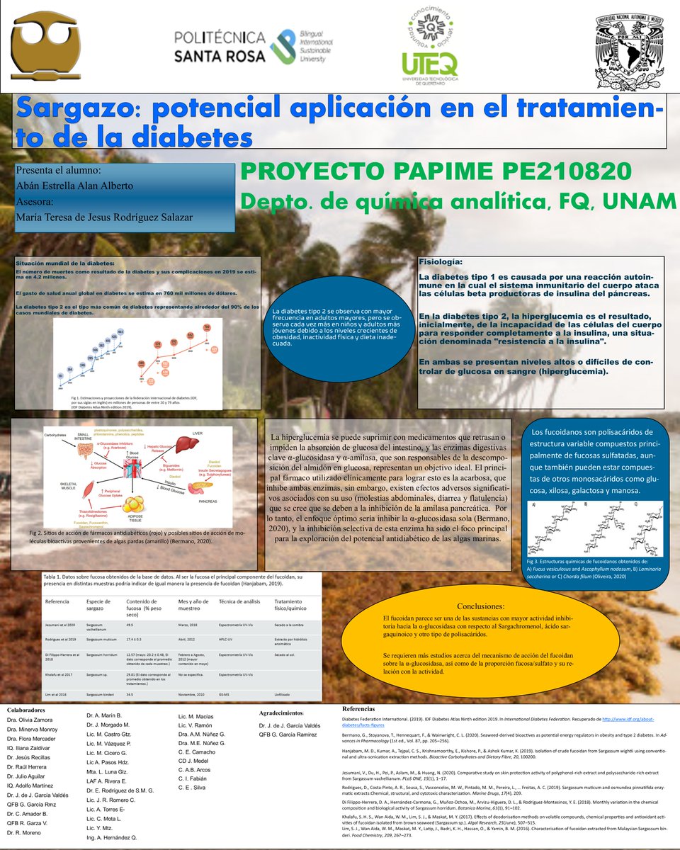 Alan71744094's tweet photo. Hola @LatinXChem! Este es mi trabajo: sargazo: potencial aplicación en el tratamiento de la diabetes. #LatinXChem #LatinXChemAnalytical #AC64 (Editado) https://t.co/J5Ef43iEA3