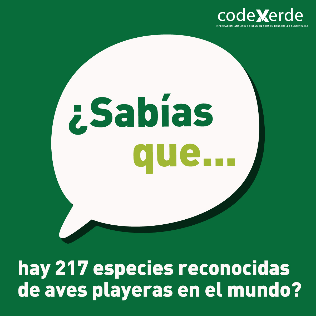 En el marco del #díamundialavesplayeras🤓, que se conmemoró ayer 6 de #septiembre, les dejamos nuestro #SabiasQue de la semana.

[Hilo🧵]