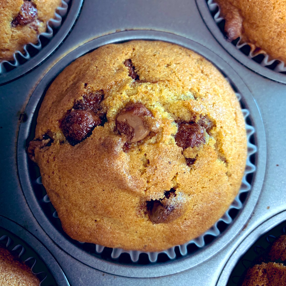 pjderoc's tweet photo. When you’re making muffins & the recipe calls for raisins, only a reasonable person makes the appropriate change & instead uses chocolate chips! 😂 #PamsKitchenEscapades #backtoschoolbaking https://t.co/uwTIViQ4Ss