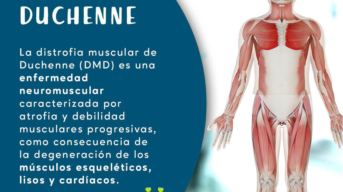 ConsulmedMX's tweet photo. Día Mundial de Concienciación de #Duchenne
Enfermedad Genética que afecta a 1 de cada 3.500 niños en el mundo 👧🧒🌎 https://t.co/jfG2wbklTd