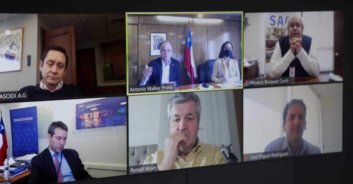 antoniowalkerp's tweet photo. Nos reunimos con el Subsecretario @subrei_chile @rodrigoyanezb, Directora @ODEPA, Director @sagchile y #Asoex para seguir trabajando en preparar la temporada de exportación agrícola y que los productos chilenos lleguen de forma segura a todos los destinos. https://t.co/mnG7uCPBer