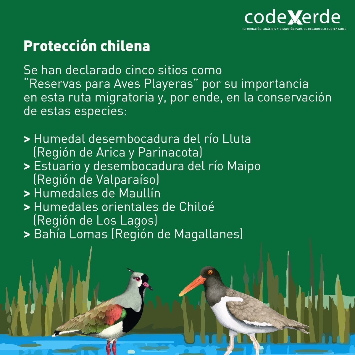 Codexverde (@codexverde) on Twitter photo 