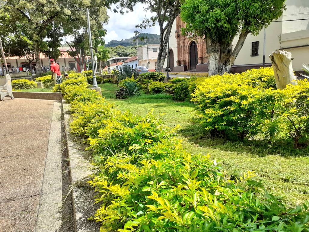 FelixR_JPSUV's tweet photo. #07Sep| Iniciamos la semana con una jornada de ornato en las principales plazas de nuestro Municipio. 
Con el fin de mantener las áreas de esparcimiento en óptimas condiciones para ser punto de encuentro de los San Sebastianeros, bajo las condiciones de la #CuarentenaSupervisada. https://t.co/gRGg82KSCO