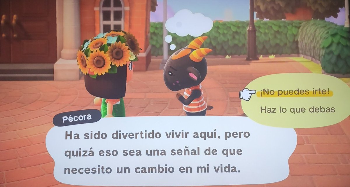 llr_acnh's tweet photo. En estos días tendré a Pecora en cajas... Agradecería que dierais RT para que la adopten, es un amor y no quiero que se vaya a la nada 🥺 Gracias!!! https://t.co/QruivArdCh