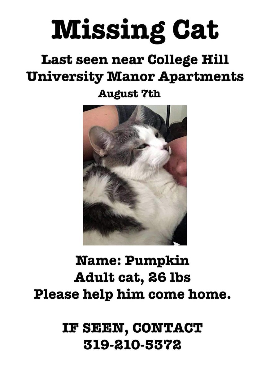 emmettplynch's tweet photo. everyone in the college hill area please keep an eye out, this is my coworker’s cat and he got out this morning :( https://t.co/ip2BQlVByz