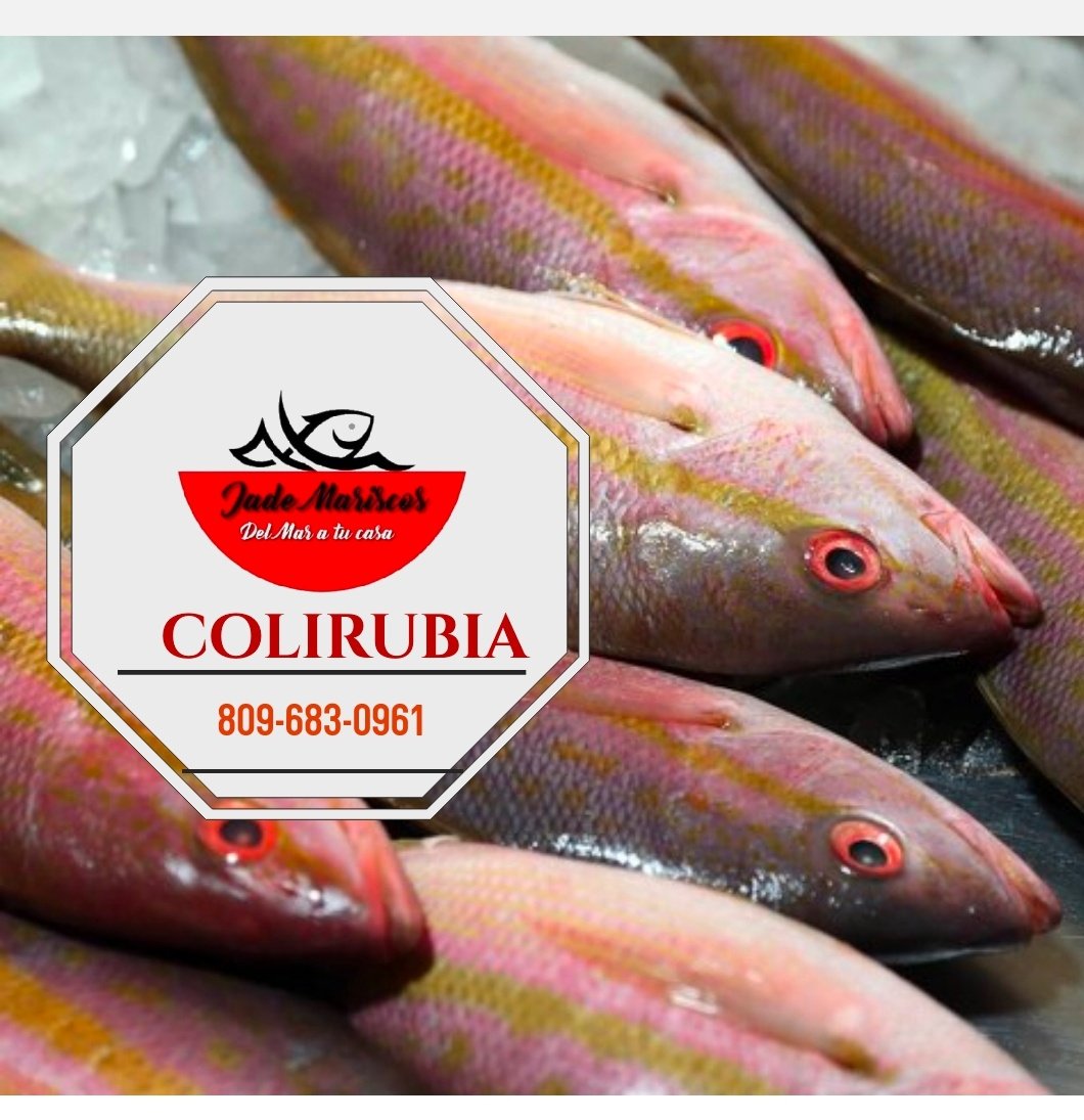 JadeMarisco's tweet photo. Colirrubia fresca $250 la libra 1.5 en adelante frescura y calidad envío Disponible 809-683-0961 https://t.co/4ZS9SnqlQ4