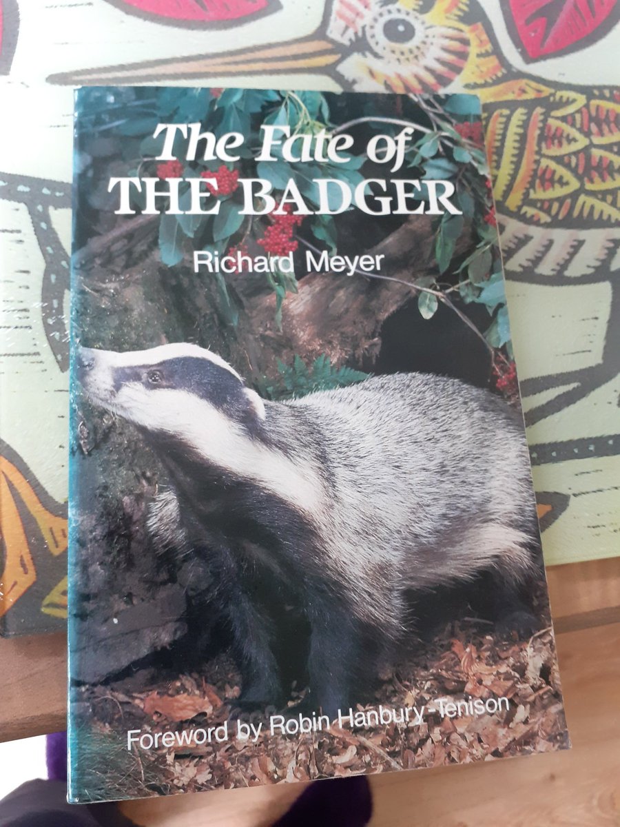 derbyshireATC's tweet photo. RT @cliveswinsco: @TimBirchWild Join a campaign group nr you folks @B_A_Network 
This callous killing of Badgers must be stopped NOW 🦡🦡🦡
#DerbyshireBadgers 
@derbyshireATC 
@Derby_Sabs 
@MDBG_badgers 
@DerbysMammals 
@DerbyAR 
Together, we can STOP t… https://t.co/VolEANY2Aq