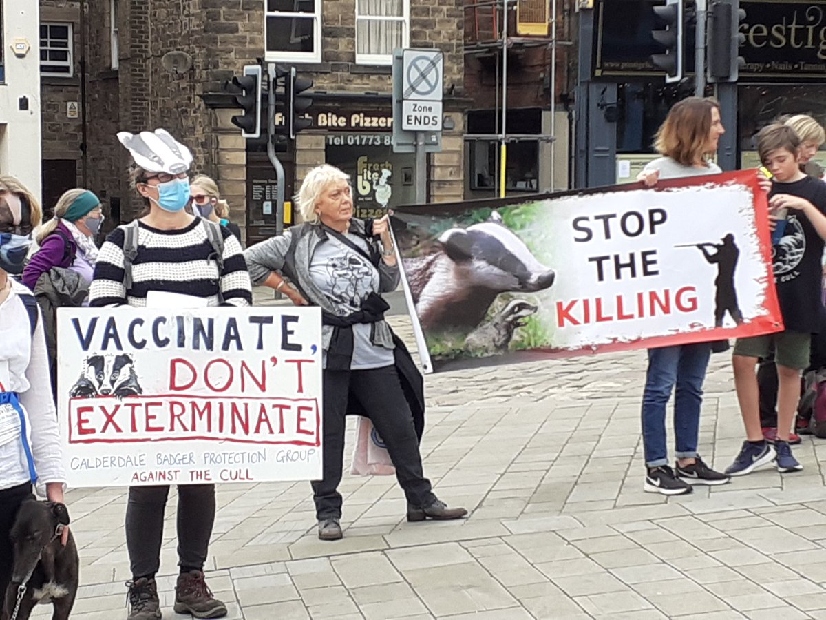 derbyshireATC's tweet photo. RT @cliveswinsco: @TimBirchWild Join a campaign group nr you folks @B_A_Network 
This callous killing of Badgers must be stopped NOW 🦡🦡🦡
#DerbyshireBadgers 
@derbyshireATC 
@Derby_Sabs 
@MDBG_badgers 
@DerbysMammals 
@DerbyAR 
Together, we can STOP t… https://t.co/VolEANY2Aq