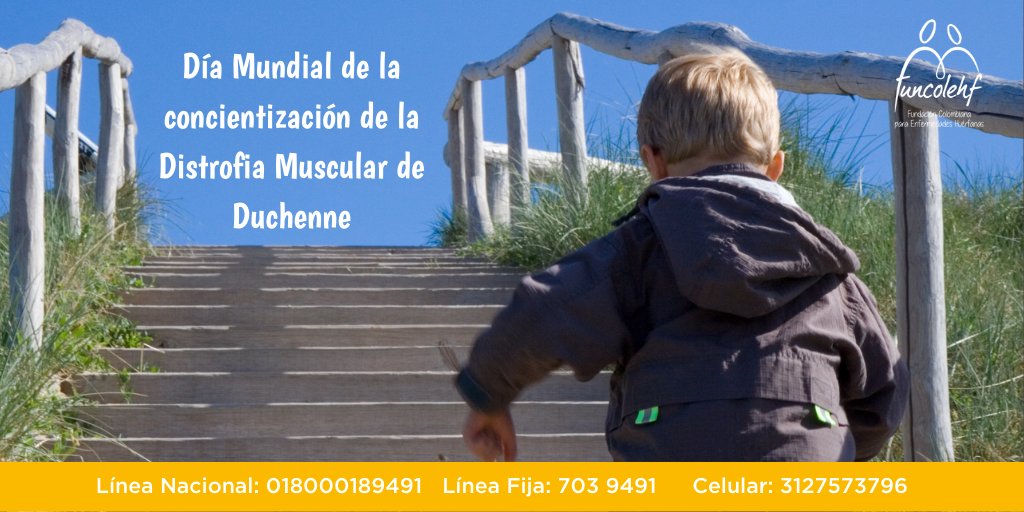 funcolehf's tweet photo. La #DistrofiaMuscularDeDuchenne es una #EnfermedadRara de origen genético que afecta el funcionamiento del tejido muscular
La invitación es a publicar en #RedesSociales fotos con escaleras y etiquetarlas con #DMDday
¡Contamos contigo!
#JuntosSomosMásFuertes #WDAD20 #Duchenne https://t.co/nn6Pj9KPAe
