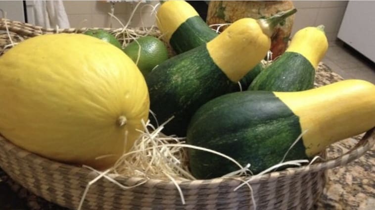 JosianaZs's tweet photo. Nosso Agro é Brasil!
Nossa força 💪💪💪🇧🇷🇧🇷🇧🇷🇧🇷
#produtorpatriota
#7SetembroComBolsonaro https://t.co/ds2EdDKhWl