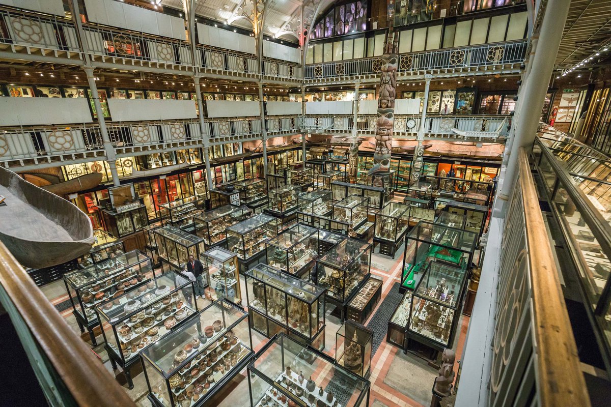 Interior of Pitt Rivers Museum
