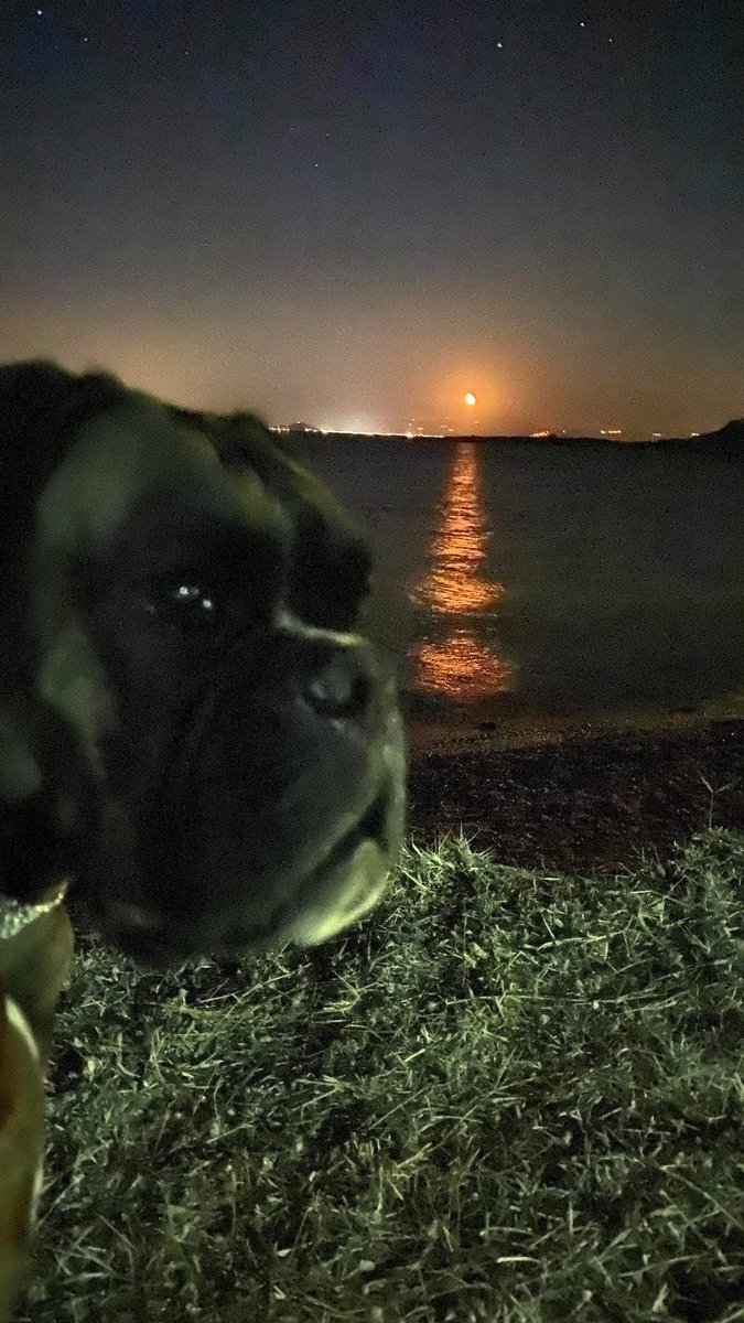 evstykas's tweet photo. Still August In here... #hackerdog https://t.co/nE3Y211n76