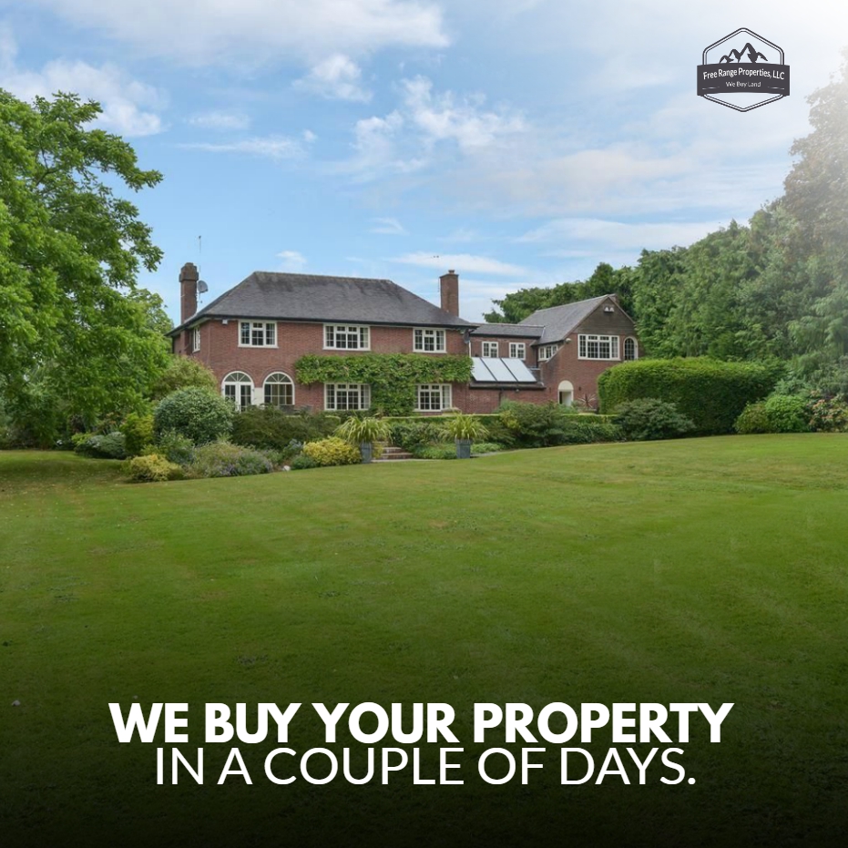 FreeRangeProp's tweet image. You will not have to wait months for closing when you call us. Because we will not charge you commissions and we do not use banks or mortgage companies.
-----
Learn more: freerangeproperties.net
.
#freerangeproperties #land #realestate #nature #landscape #property #realtor #house