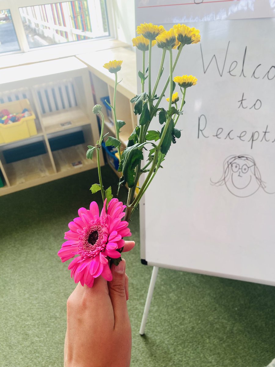 It was the first day of reception today and I was given these flowers from a little boy in my class this morning. My heart! 💔😫😍🥰 #EYFS #eyfsisthebest #eyfstwitterpals