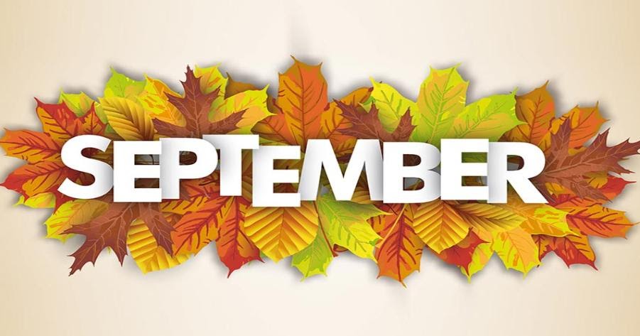 ClausNet's tweet image. 🍁 Our September issue is now online! - mailchi.mp/clausnet/2020-…