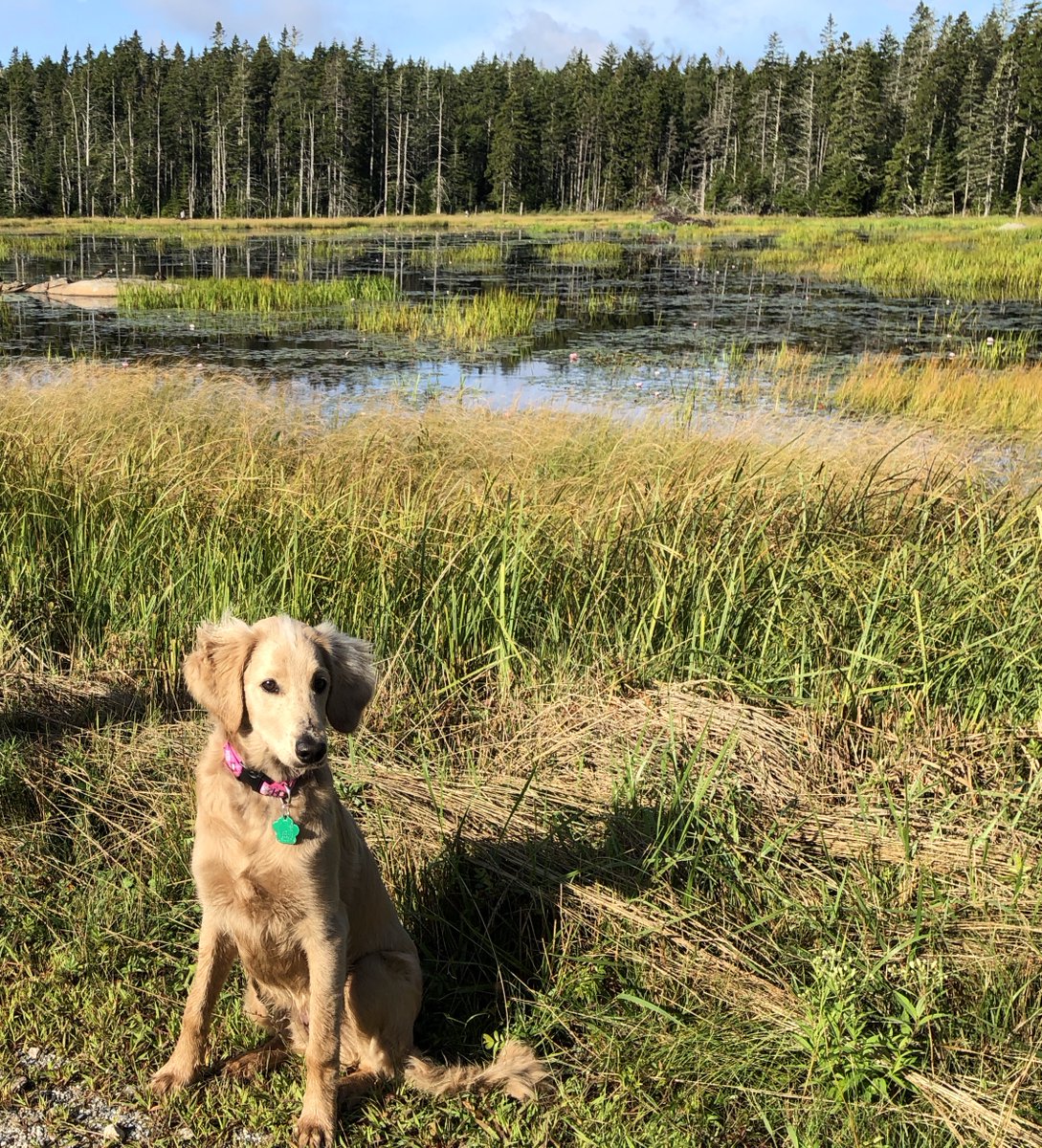 Our baby is almost 6 months old!