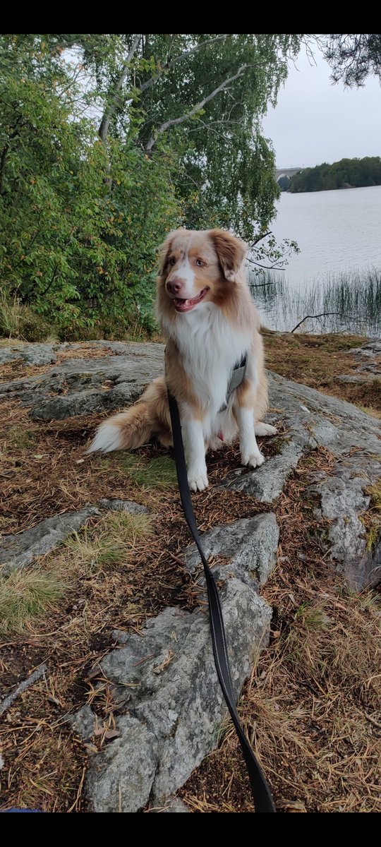 Cappeh's tweet image. ♥️