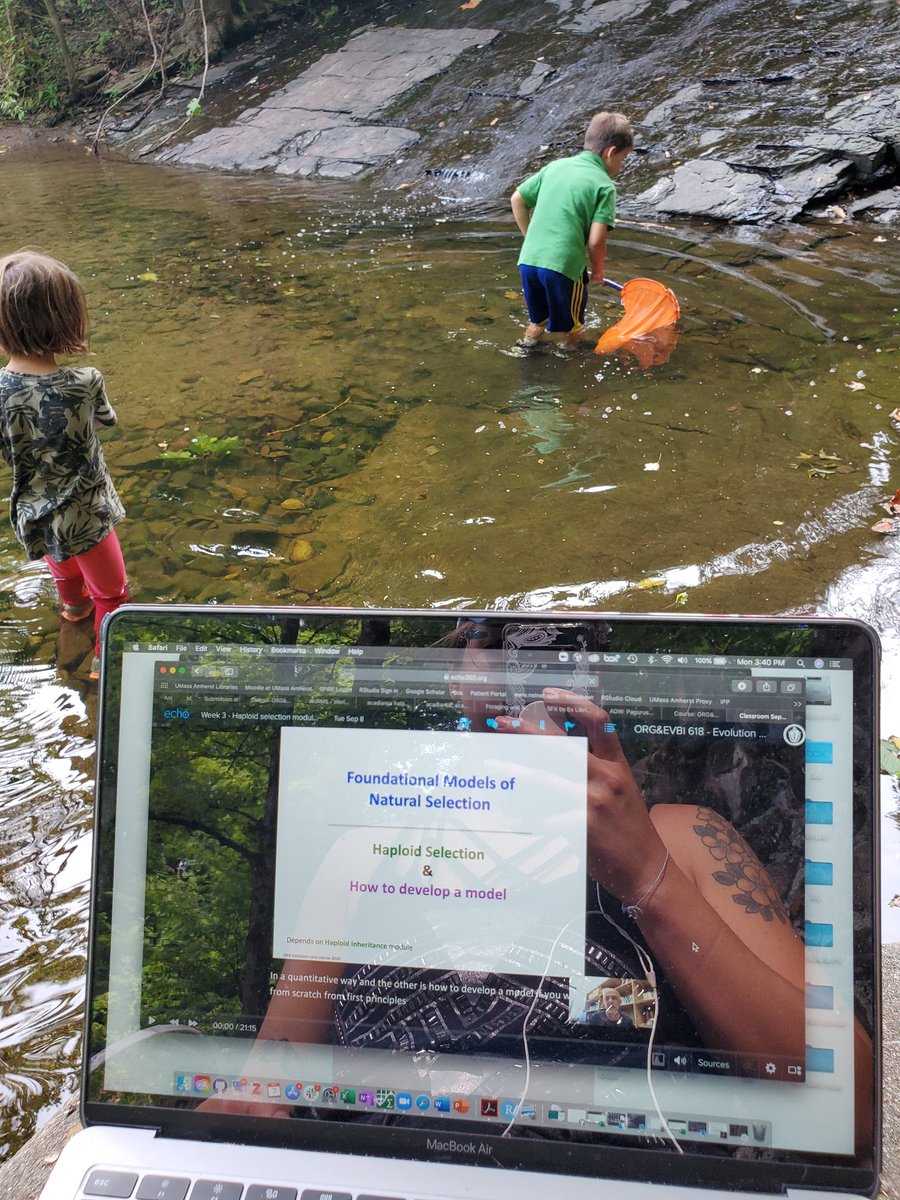 alybputnam's tweet photo. When you're a parent but also a PhD student who has homework/a boatload of videos to watch before class tomorrow. Not as easy to concentrate but doing what I can
#phd #phdparent #workwhiletheyplay #phdmom #phdchat #womeninSTEM #tryingmybest #remotelearning #remotephd #remotekids https://t.co/7bne0MFggx