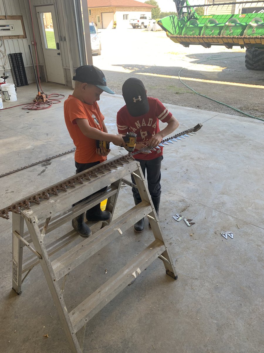 A nice simple job to start learning for a 8 and 5 year old