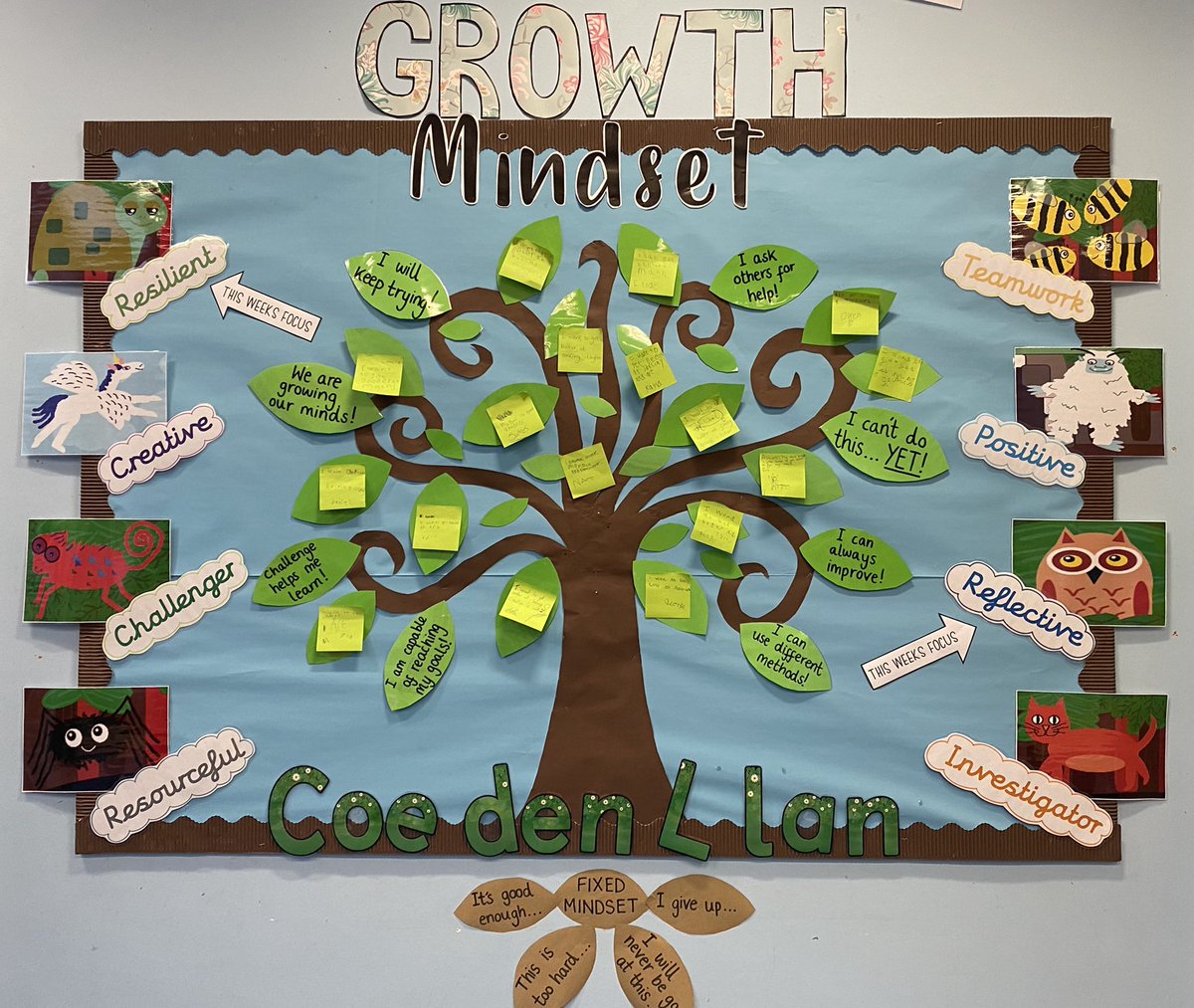 First day with my full class complete✅ We learnt the difference between growth and fixed mindset for our ‘Mindset Monday’ session and added goals to the class tree🙂