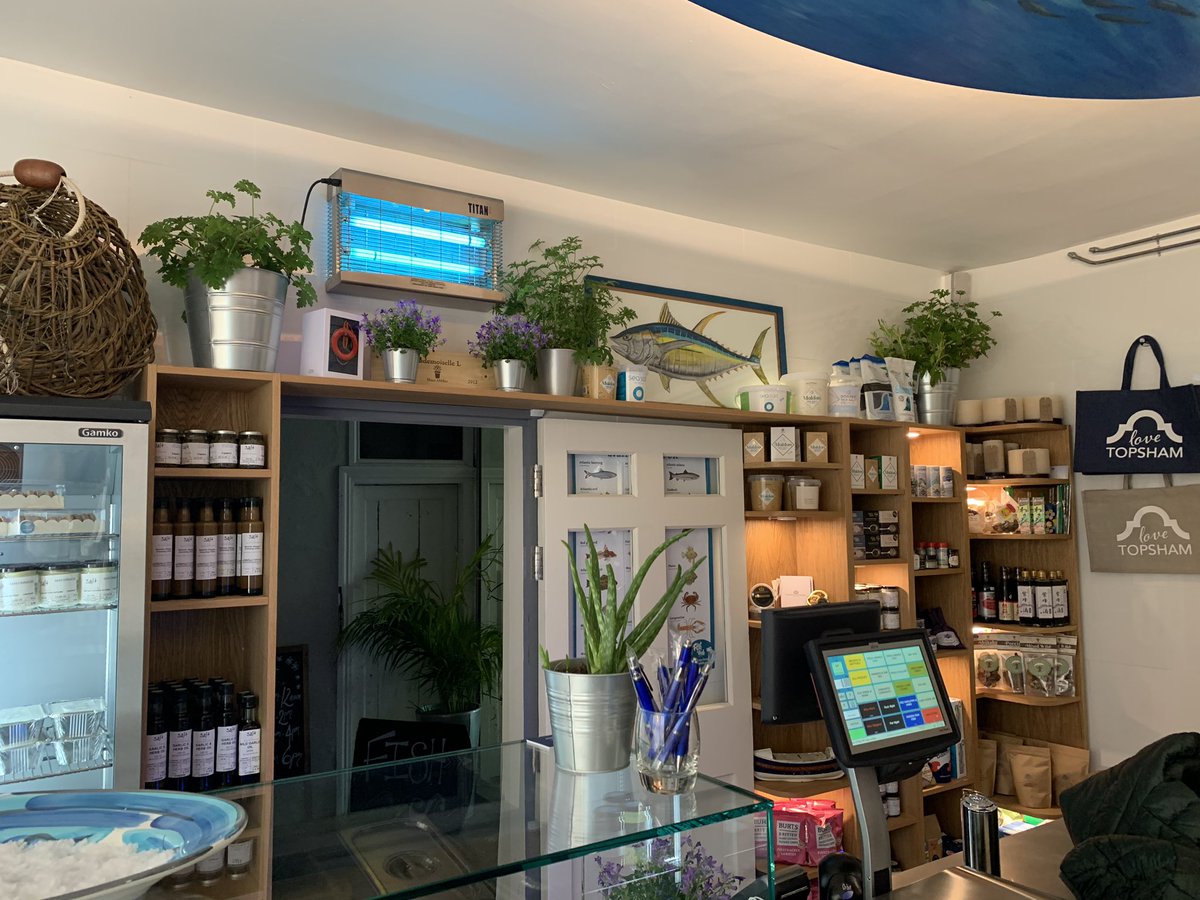 The Salutation Inn tweet media