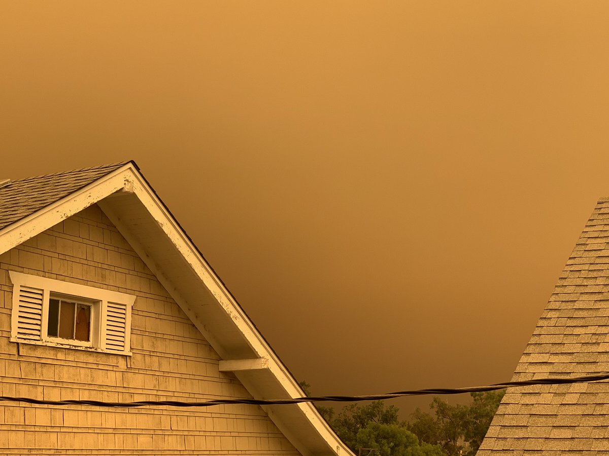 jungkookierooki's tweet photo. This is currently what I looks like where I live 😭 trees are white with ash and you can see all the ash falling. It’s scary that this is only one of the fires that’s happening https://t.co/a0B5eZUk3a