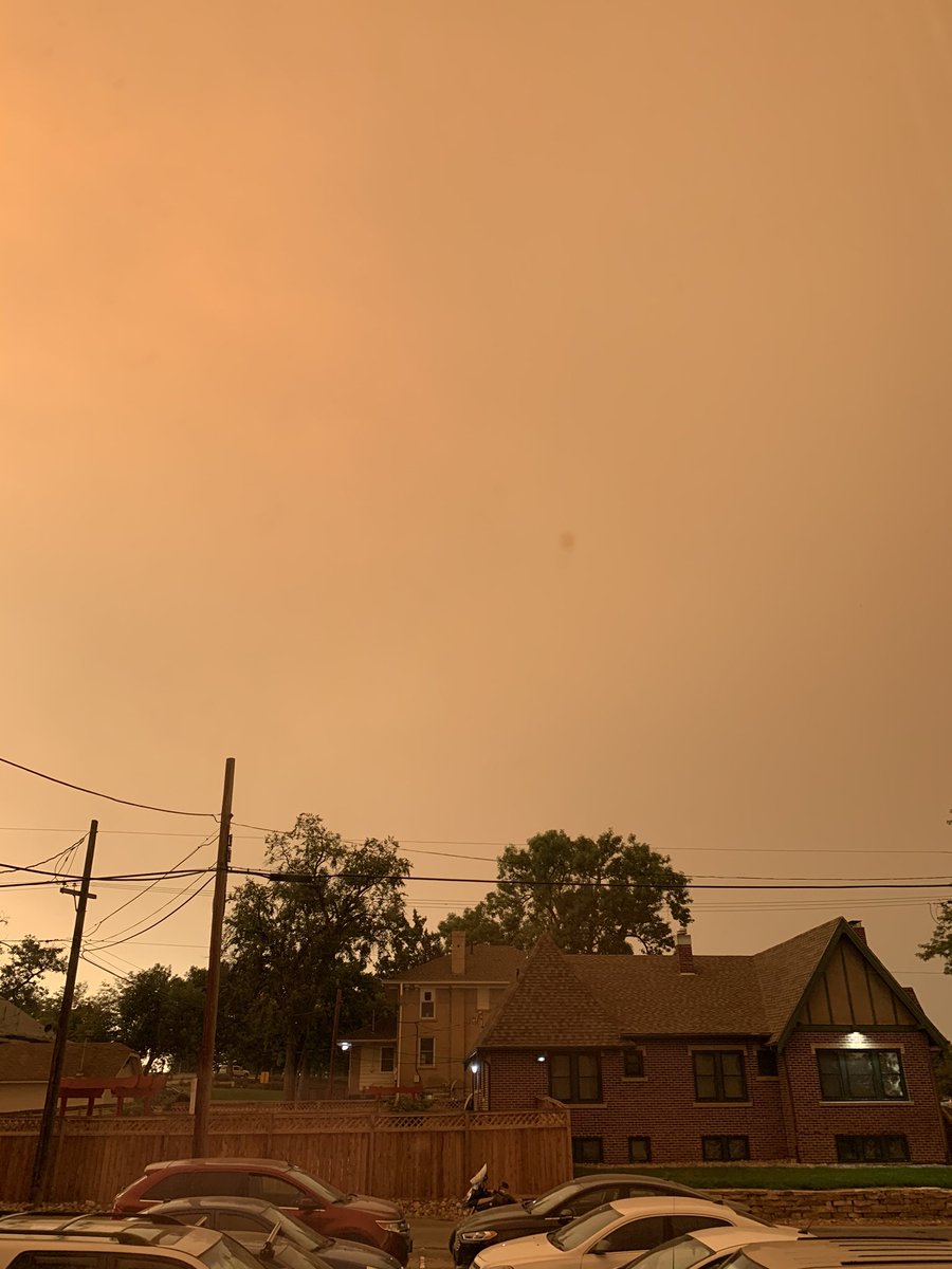 jungkookierooki's tweet photo. This is currently what I looks like where I live 😭 trees are white with ash and you can see all the ash falling. It’s scary that this is only one of the fires that’s happening https://t.co/a0B5eZUk3a
