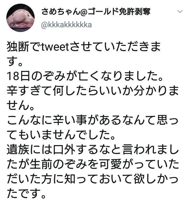 知らなんだ 鮫島の姉 のぞみ亡くなる かつて配信界を大いに盛り上げた特攻隊長 T Co X4pzer7uyb T Co Gdt5bsf3yl Twitter